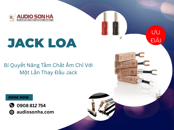 Jack Loa Cao Cấp – Bí Quyết Nâng Tầm Chất Âm Chỉ Với Một Lần Thay Đầu Jack