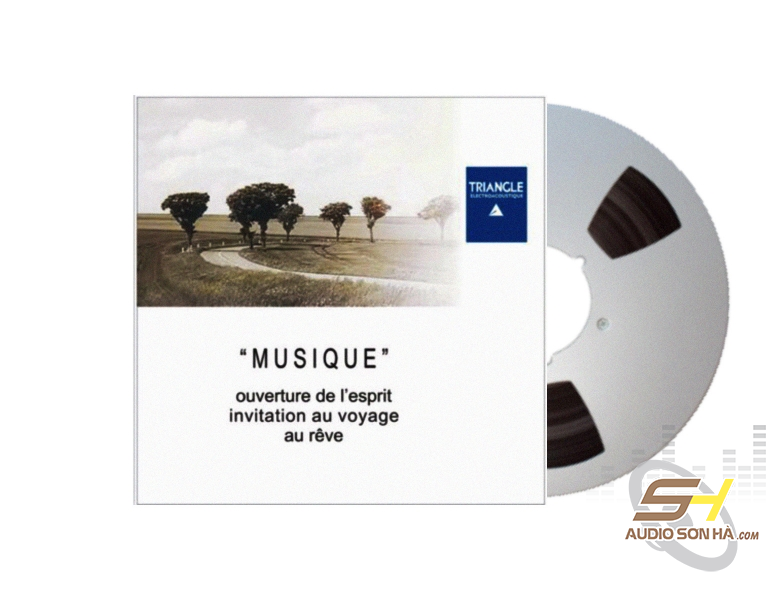 Băng Cối Musique (2 Track, 10inch)