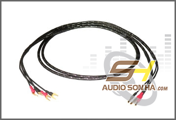 Dây loa Synergistic Core UEF 1 (2,4m)