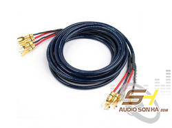 Dây loa Siltech London S-Conn/ 2,5 m 