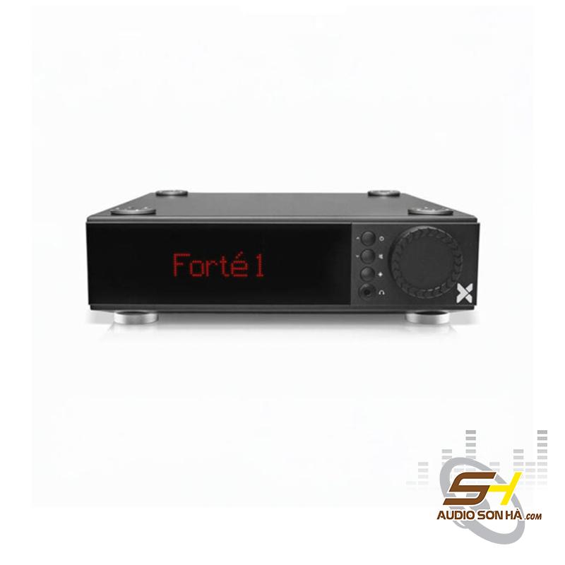 Amply Axxess Forte 1