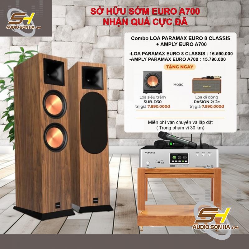 COMBO LOA PARAMAX EURO 8 CLASSIS + AMPLY EURO A700