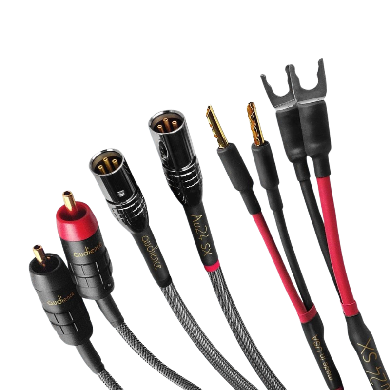 Dây Digital XLR Audience Au24 SX  1m 