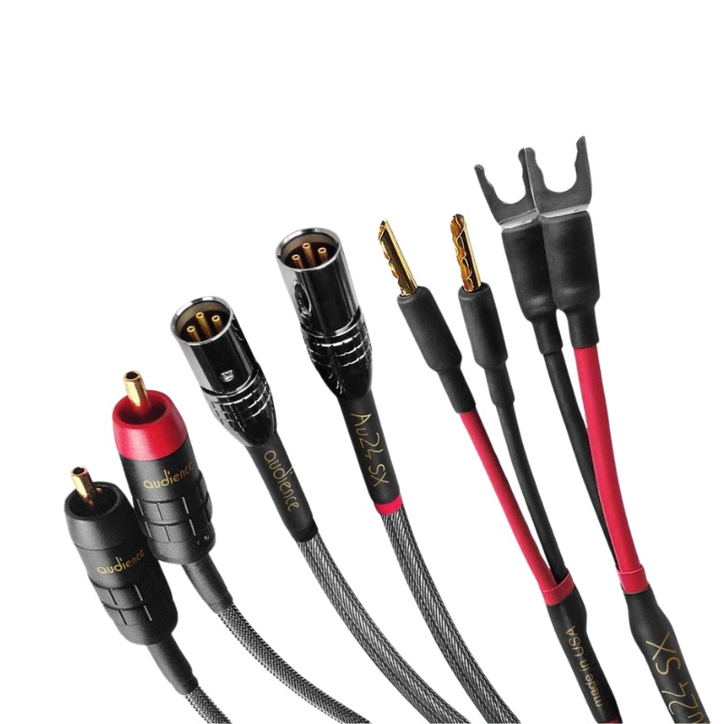 Dây loa Audience Au24 SX LCR 2m / Set 3 Sợi dùng cho loa Front L- R và center)