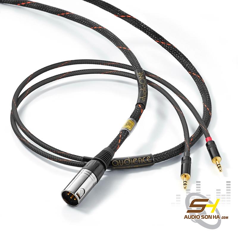 Audience Studio ONE Headphone 2m