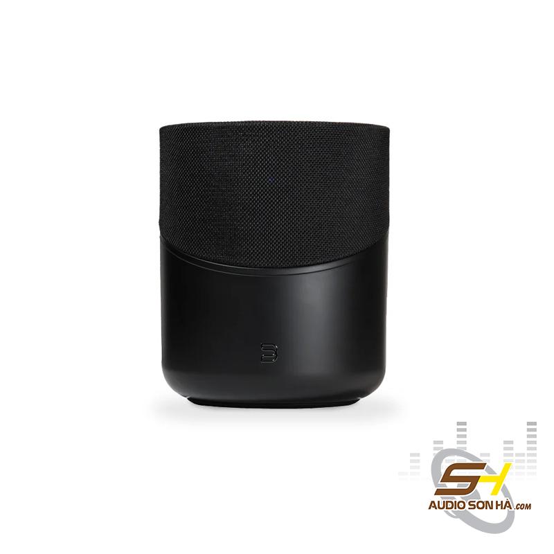Bluesound PULSE M – Loa Không Dây Hi-Res Omni-Hybrid 360° Đa Phòng