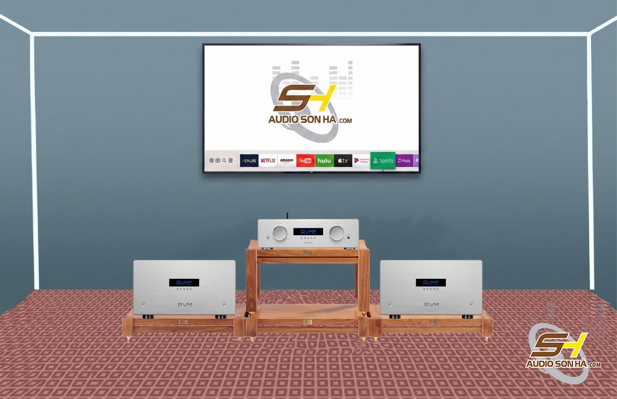Combo Power Mono MA 8.3 + PrePreamplifier AVM OVATION PA 8.3